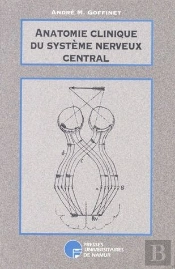 Anatomie Clinique Du Système Nerveux Central