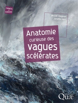 Bertrand.pt - Anatomie Curieuse Des Vagues Scélérates