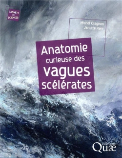 Bertrand.pt - Anatomie Curieuse Des Vagues Scelerates