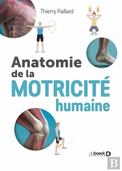 Bertrand.pt - Anatomie De La Motricité Humaine