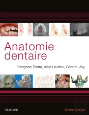 Anatomie Dentaire