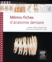 Anatomie Dentaire