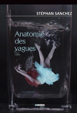 Bertrand.pt - Anatomie Des Vagues