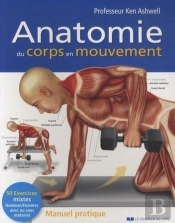Anatomie Du Corps En Mouvement