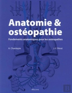 Bertrand.pt - Anatomie Et Osteopathie. Fondements Anatomiques Pour Les Osteopathes