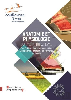 Bertrand.pt - Anatomie Et Physiologie Du Sabot Du Cheval