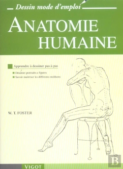 Bertrand.pt - Anatomie Humaine
