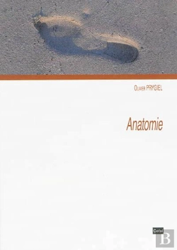 Bertrand.pt - Anatomie