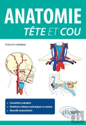 Anatomie Tête Et Cou