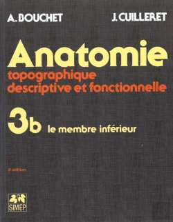 Bertrand.pt - Anatomie Topo T.3 ; B Le Membre Inferieur