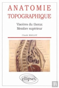 Bertrand.pt - Anatomie Topographique - Viscères Du Thorax - Membre Supérieur