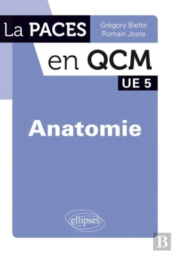 Bertrand.pt - Anatomie ; Ue 5 ; Qcm