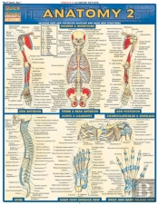 Anatomy 2 - Reference Guide