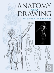 Anatomy And Drawing