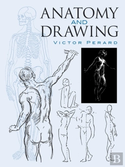 Bertrand.pt - Anatomy And Drawing