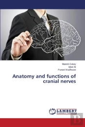 Anatomy And Functions Of Cranial Nerves