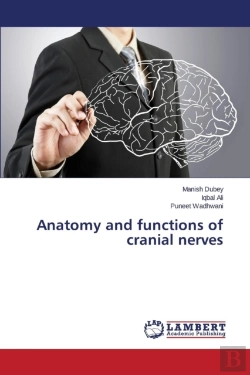 Bertrand.pt - Anatomy And Functions Of Cranial Nerves