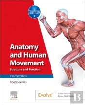 Anatomy And Human Movement