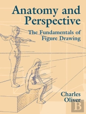 Anatomy And Perspective
