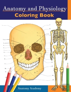 Bertrand.pt - Anatomy And Physiology Coloring Book