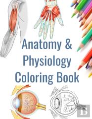 Anatomy And Physiology Coloring Book
