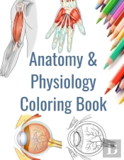 Anatomy And Physiology Coloring Book