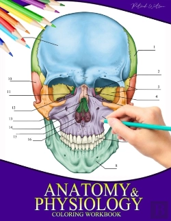 Bertrand.pt - Anatomy And Physiology Coloring Workbook