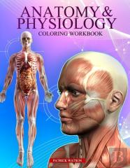 Anatomy And Physiology Coloring Workbook
