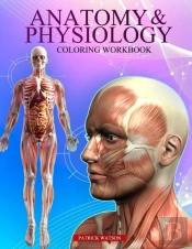 Anatomy And Physiology Coloring Workbook
