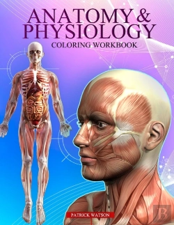 Bertrand.pt - Anatomy And Physiology Coloring Workbook