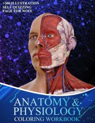 Anatomy And Physiology Coloring Workbook