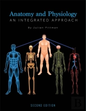 Anatomy And Physiology