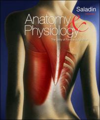 Anatomy And Physiology