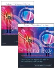Anatomy And Physiology