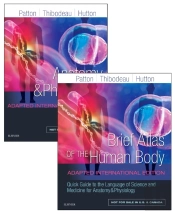 Anatomy And Physiology