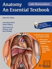 Anatomy