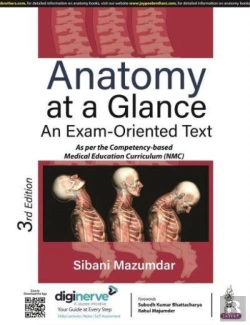 Bertrand.pt - Anatomy At A Glance