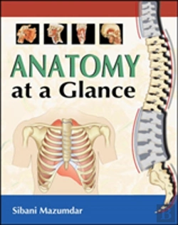 Bertrand.pt - Anatomy At A Glance