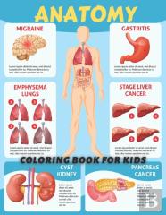 Anatomy Coloring Book For Kids