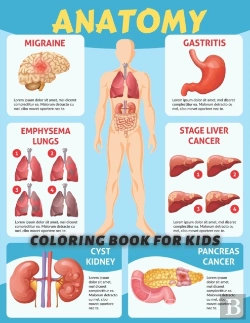 Bertrand.pt - Anatomy Coloring Book For Kids