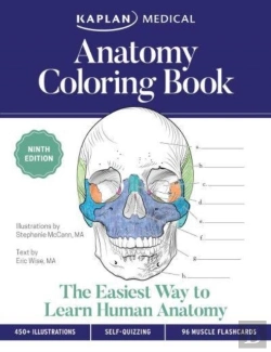 Bertrand.pt - Anatomy Coloring Book With 450+ Realistic Medical Illustrations With Quizzes For Each + 96 Perforated Flashcards Of Muscle Origin, Insertion, Action, And Innervation