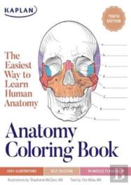 Anatomy Coloring Book With 450+ Realistic Medical Illustrations With Quizzes For Each