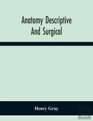 Anatomy Descriptive And Surgical