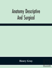 Anatomy Descriptive And Surgical