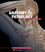 Anatomy & Pathology:The World'S Best Anatomical Charts Book