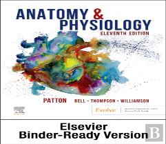 Anatomy & Physiology - Binder/Ac/Briefatl