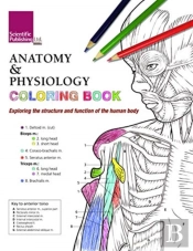 Anatomy & Physiology Colouring Book
