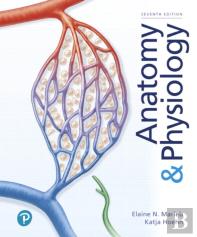 Anatomy & Physiology