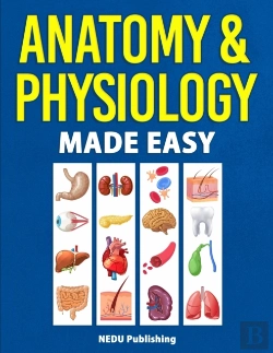 Bertrand.pt - Anatomy & Physiology Made Easy