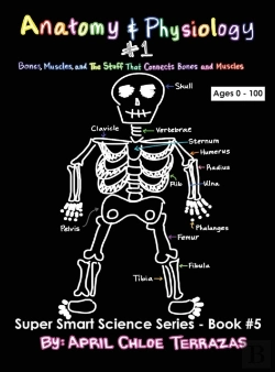 Bertrand.pt - Anatomy & Physiology Part 1